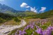 príroda v Tatrach